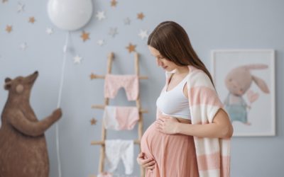 ¿Qué pasa en el vientre materno durante el desarrollo prenatal?
